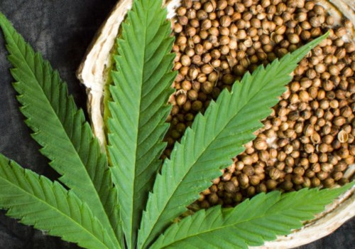 What is Hemp Used For? Exploring the Uses of Hemp